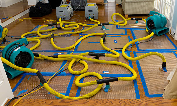 Professional Storm Water Damage Restoration technician working in Sun Valley, PA